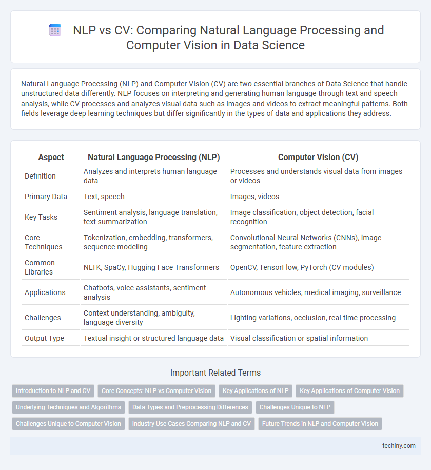 NLP vs CV: Comparing Natural Language Processing and Computer Vision in Data Science