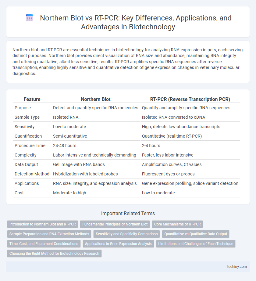 Northern Blot vs RT-PCR: Key Differences, Applications, and Advantages in Biotechnology