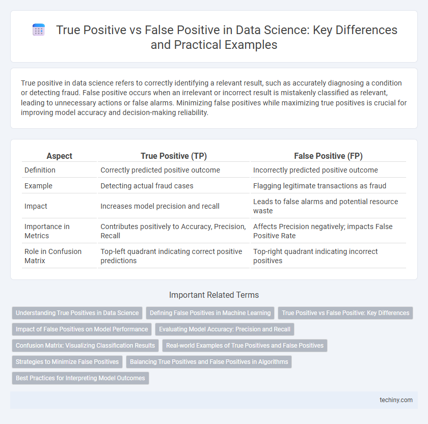True Positive vs False Positive in Data Science: Key Differences and Practical Examples