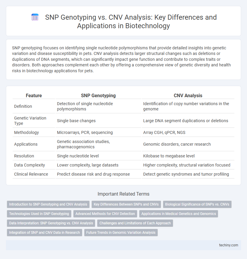 SNP Genotyping vs. CNV Analysis: Key Differences and Applications in Biotechnology