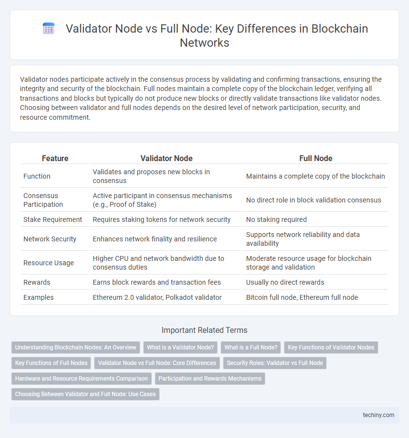 Validator Node vs Full Node: Key Differences in Blockchain Networks