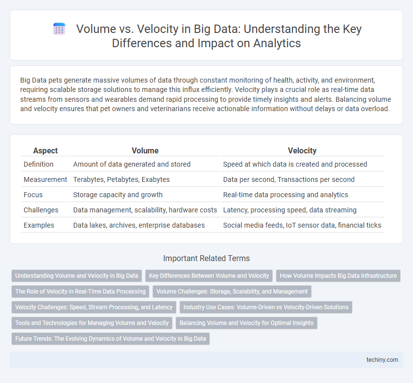 Volume vs. Velocity in Big Data: Understanding the Key Differences and Impact on Analytics