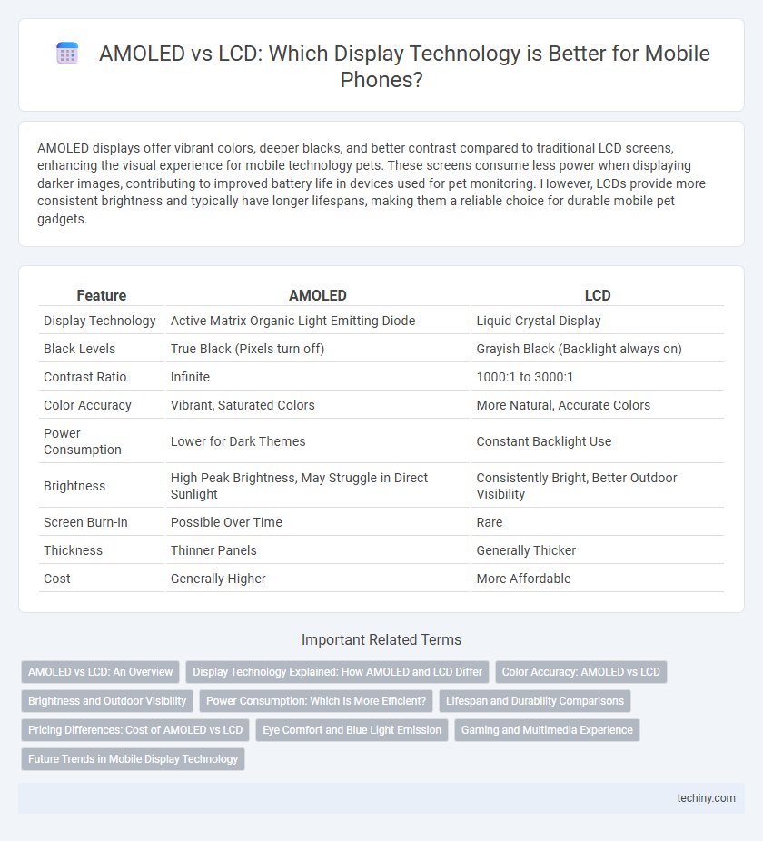AMOLED vs LCD: Which Display Technology is Better for Mobile Phones?