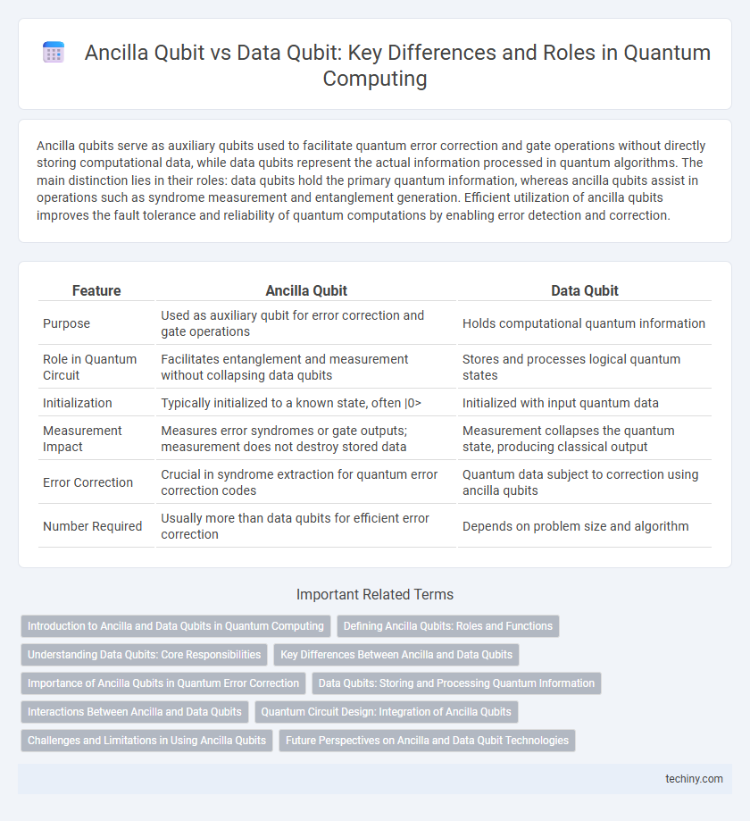Ancilla Qubit vs Data Qubit: Key Differences and Roles in Quantum Computing