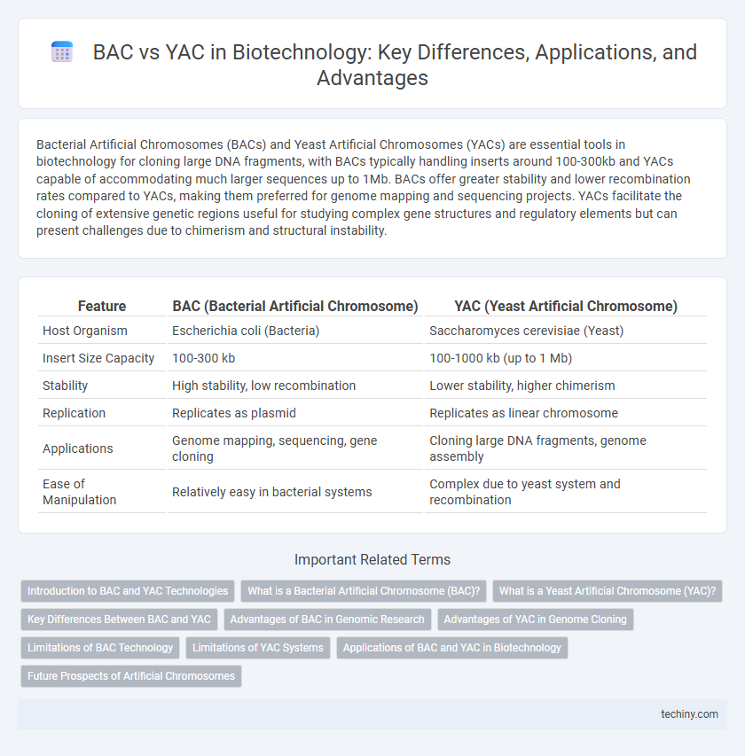 BAC vs YAC in Biotechnology: Key Differences, Applications, and Advantages