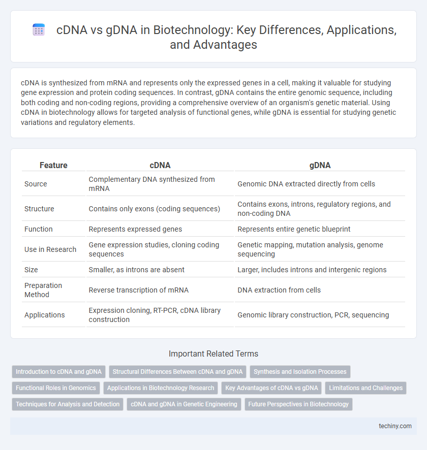 cDNA vs gDNA in Biotechnology: Key Differences, Applications, and Advantages