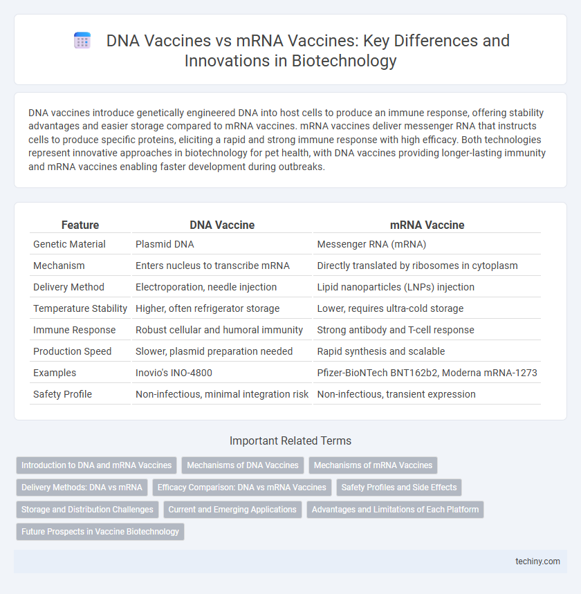 DNA Vaccines vs mRNA Vaccines: Key Differences and Innovations in Biotechnology