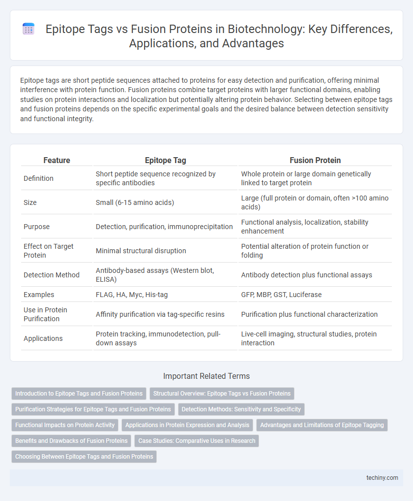 Epitope Tags vs Fusion Proteins in Biotechnology: Key Differences, Applications, and Advantages