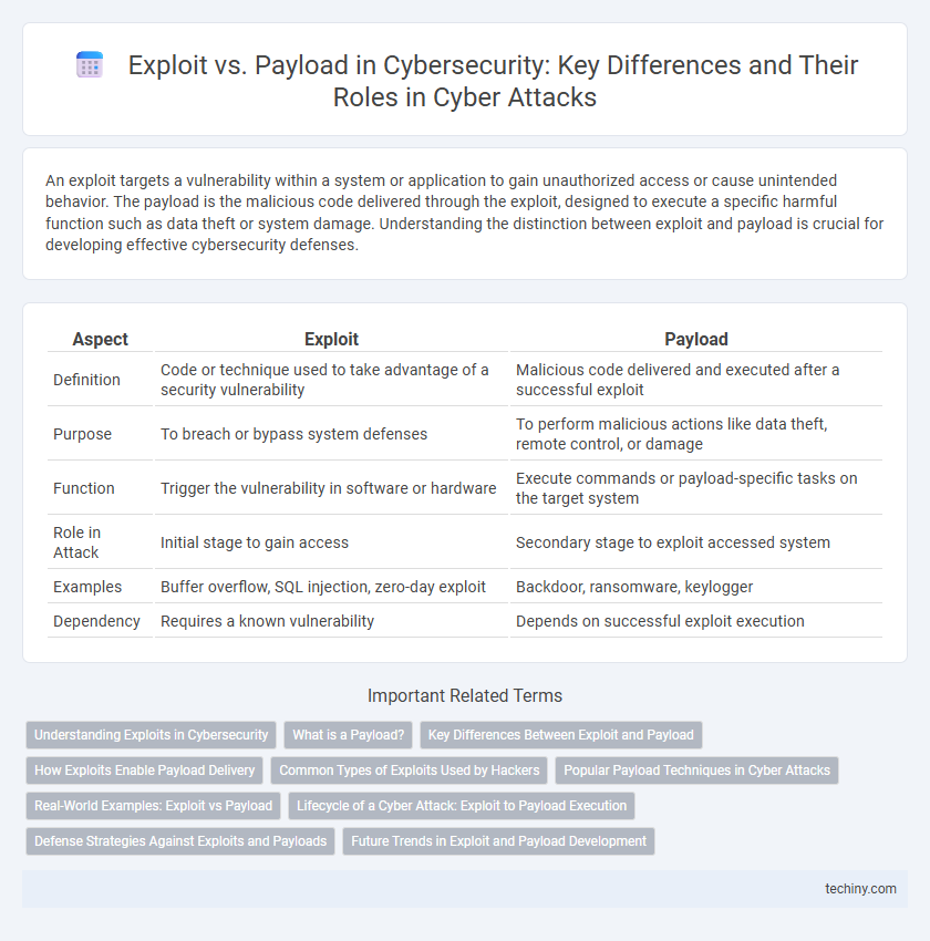 Exploit vs. Payload in Cybersecurity: Key Differences and Their Roles in Cyber Attacks
