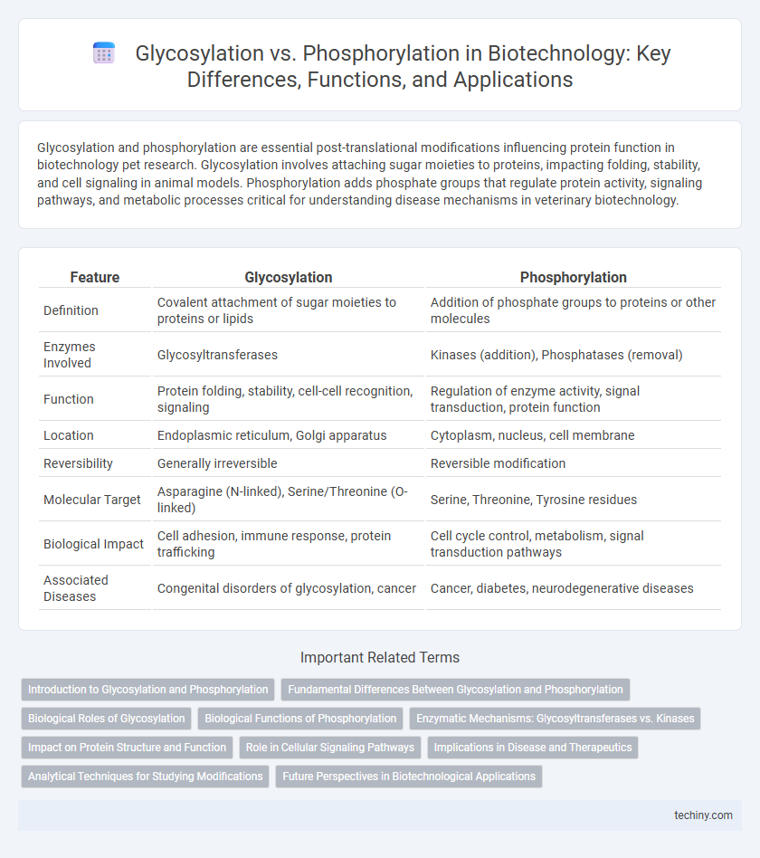 Glycosylation vs. Phosphorylation in Biotechnology: Key Differences, Functions, and Applications