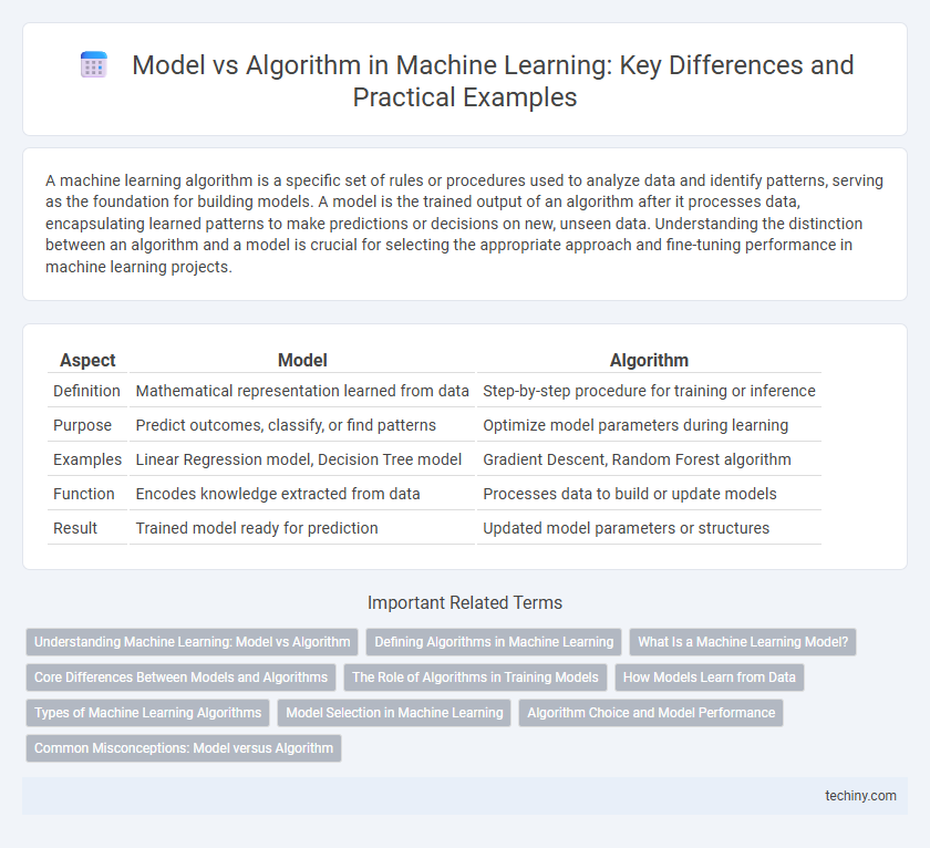Model vs Algorithm in Machine Learning: Key Differences and Practical Examples