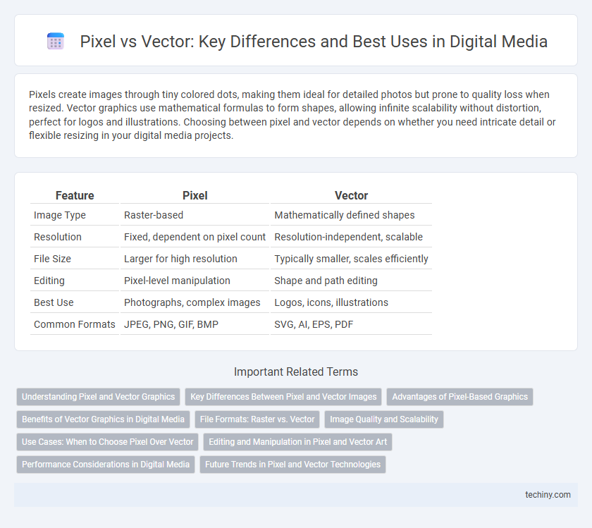 Pixel vs Vector: Key Differences and Best Uses in Digital Media