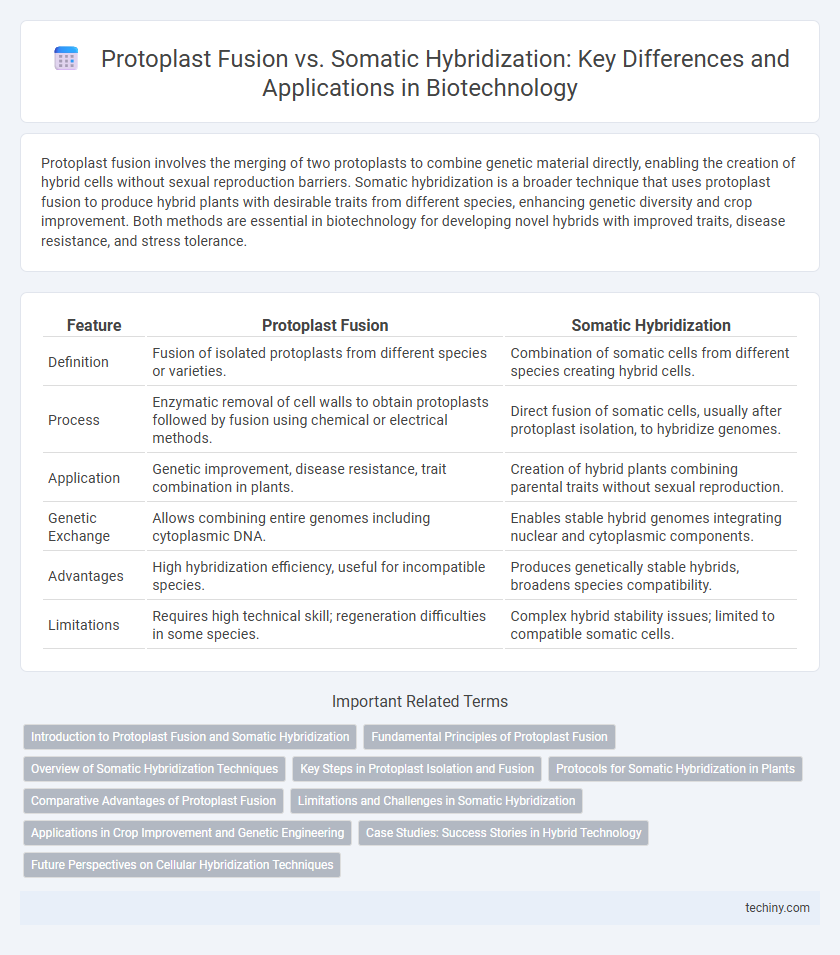 Protoplast Fusion vs. Somatic Hybridization: Key Differences and Applications in Biotechnology