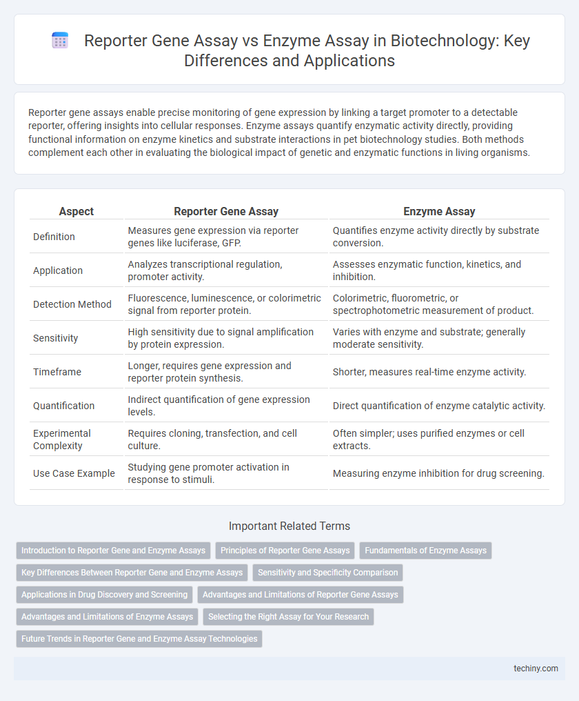 Reporter Gene Assay vs Enzyme Assay in Biotechnology: Key Differences and Applications