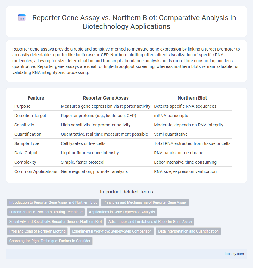 Reporter Gene Assay vs. Northern Blot: Comparative Analysis in Biotechnology Applications