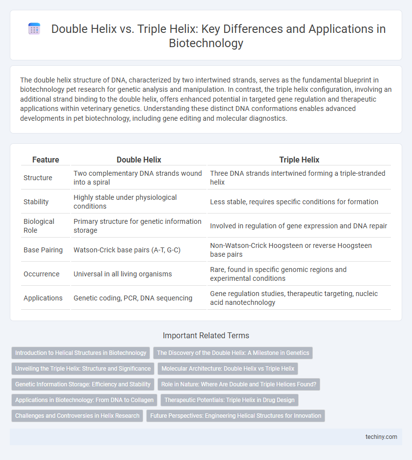 Double Helix vs. Triple Helix: Key Differences and Applications in Biotechnology