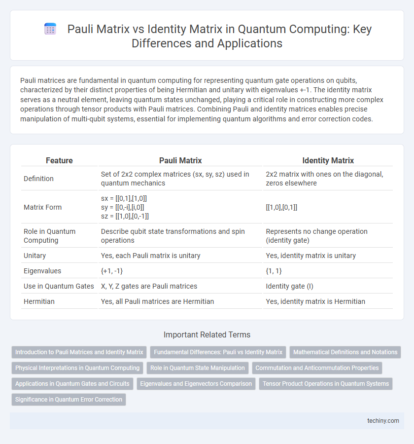 Pauli Matrix vs Identity Matrix in Quantum Computing: Key Differences and Applications