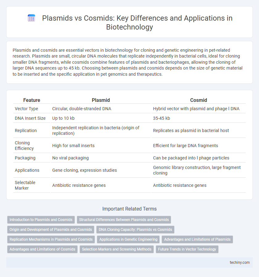 Plasmids vs Cosmids: Key Differences and Applications in Biotechnology