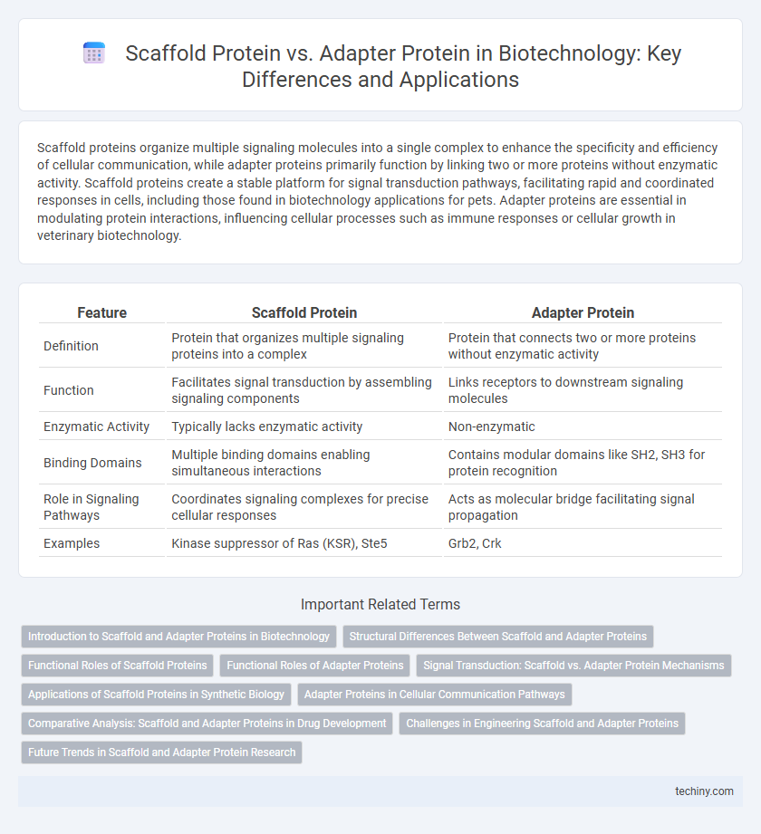 Scaffold Protein vs. Adapter Protein in Biotechnology: Key Differences and Applications