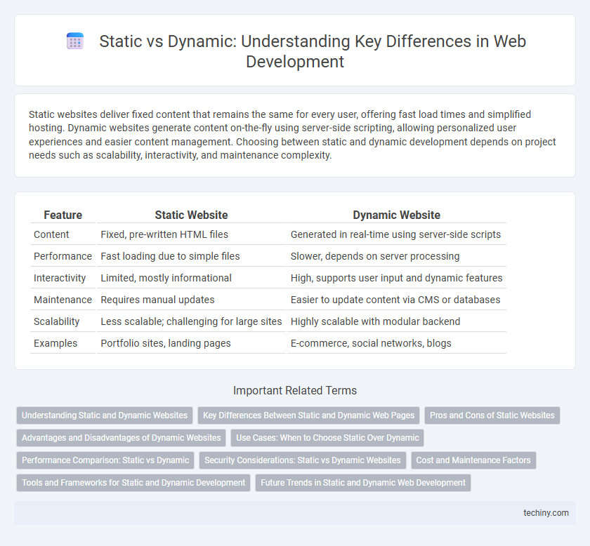 Static vs Dynamic: Understanding Key Differences in Web Development
