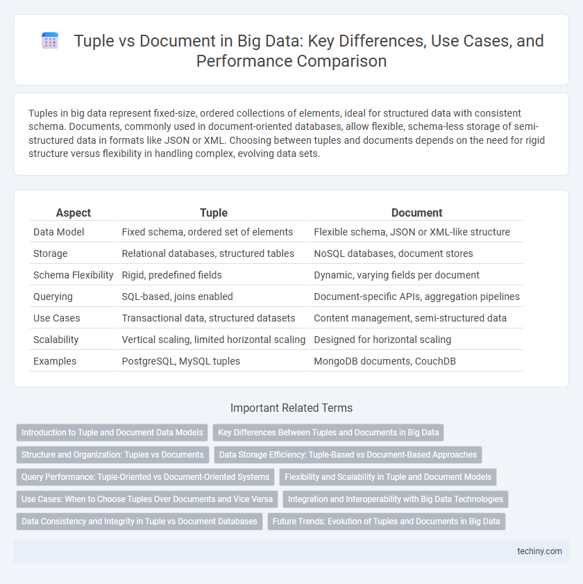 Tuple vs Document in Big Data: Key Differences, Use Cases, and Performance Comparison